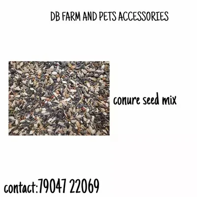 CONURE MIX