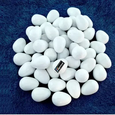 PEGION FAKE EGGS
