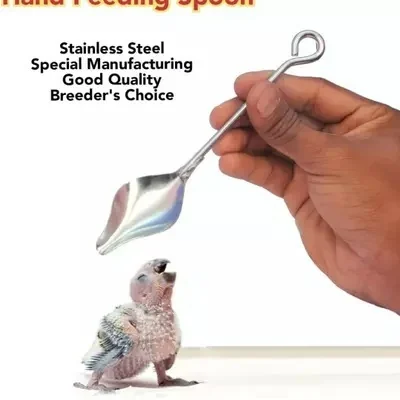 HAND FEEDING SPOON