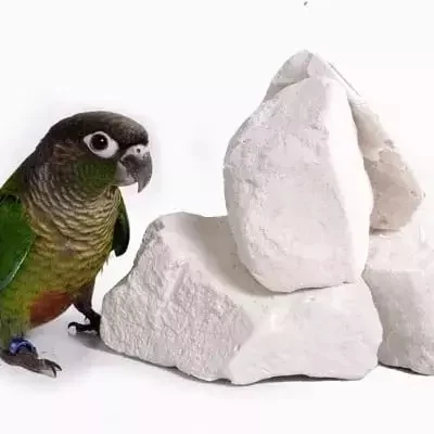 Calcium Stone