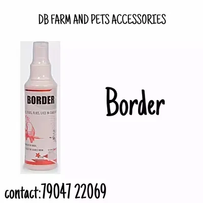 BORDER