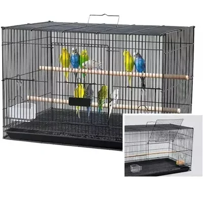 2 Feet Imported Cage