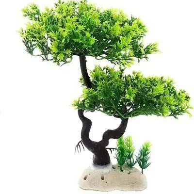 PLANT 1005 TREE
