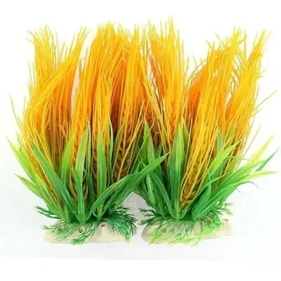 Plant 80 G Pack Of 2